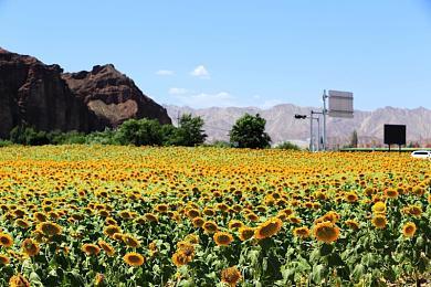 《使命召唤》反作弊新招：放置只有作弊者能看到的幻影